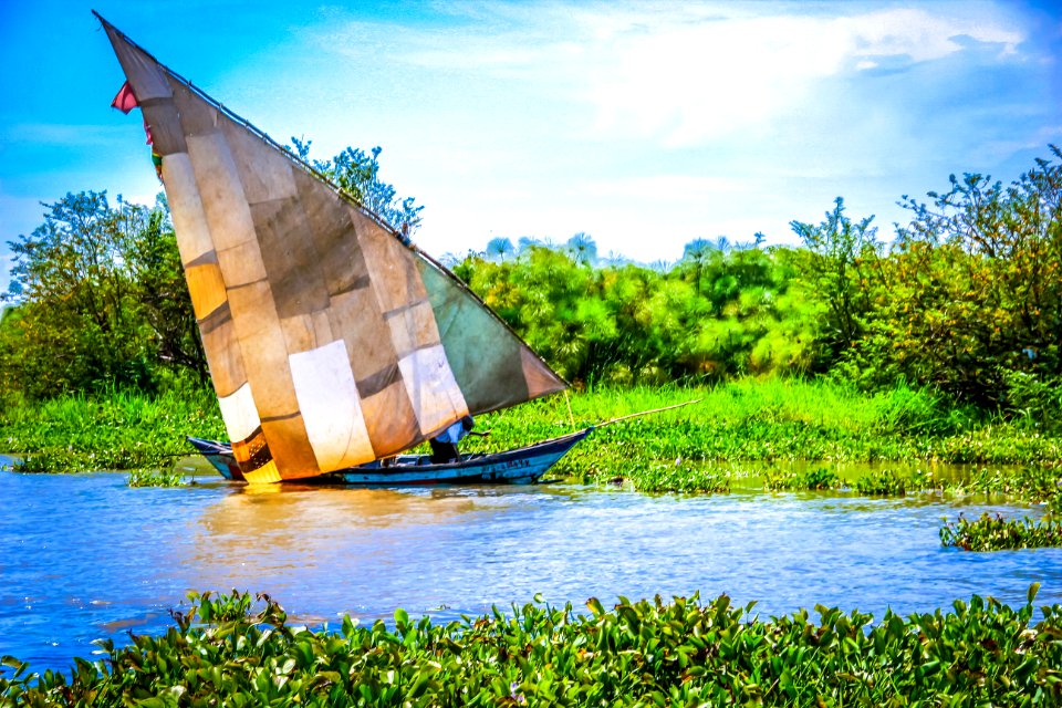 Lake victoria, Kenya, Fishing