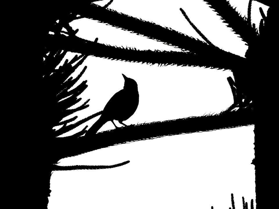 Silhouettes, Freedom, Bird