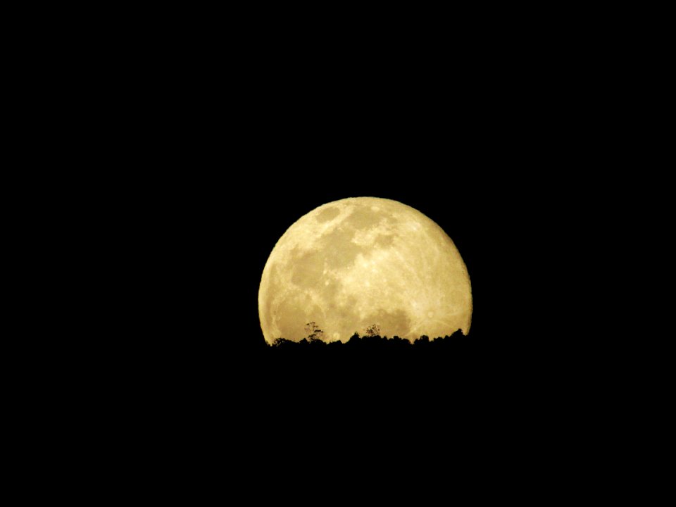 Moon