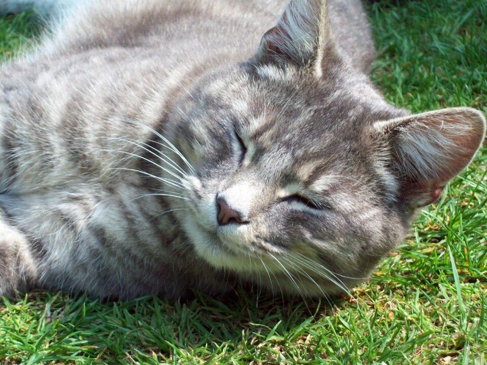 Natural relaxed peaceful