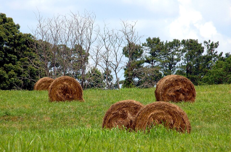 Fall season field farm