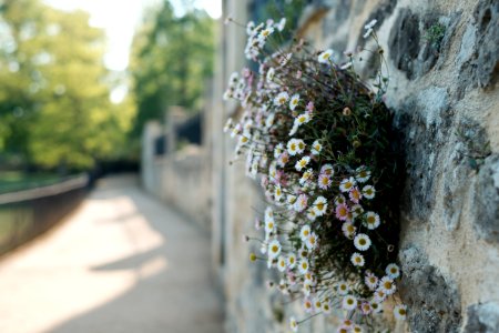 Oxford, United kingdom, Wall