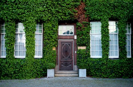 brown wooden door photo