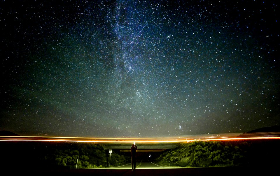 grey concrete road win between trees under night sky