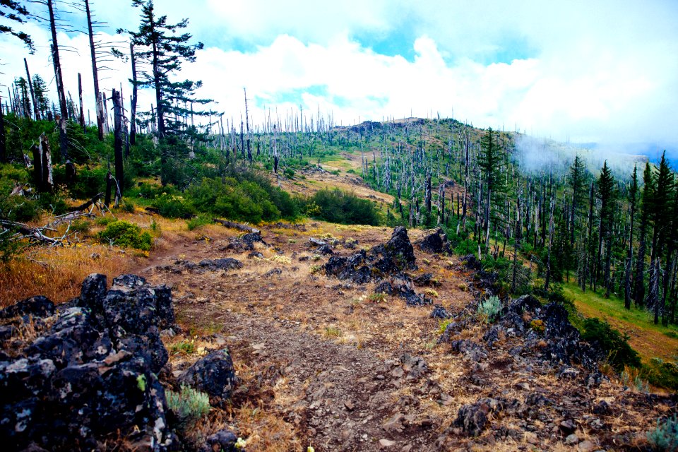 Grizzly peak, United states, Mountain ridge