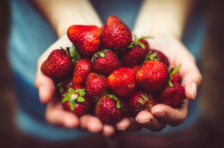 shallow focus photography of strawberries on person's palm photo