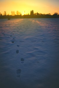 Nature, Sunset, Are