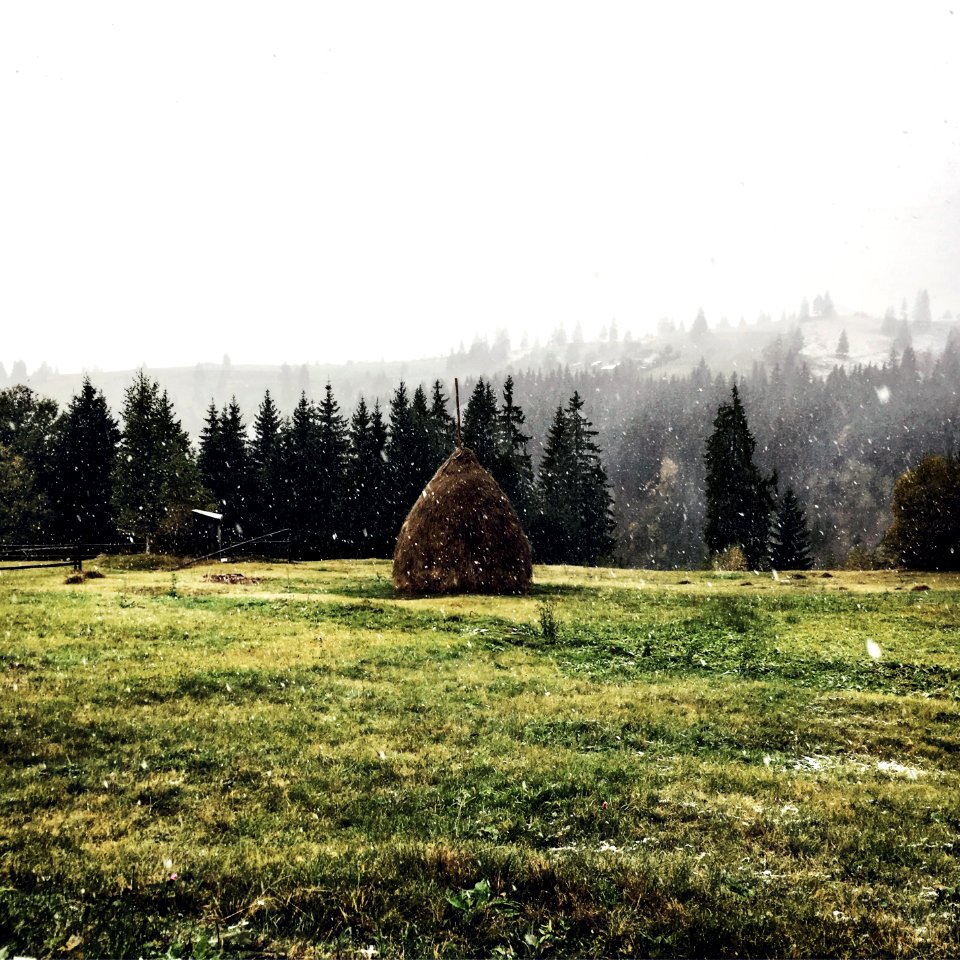 Vyshkovo, Ukraine, Autumn