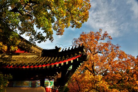 Ancient architecture roof red leaves