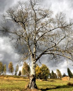 Vyshkovo, Ukraine, Autumn
