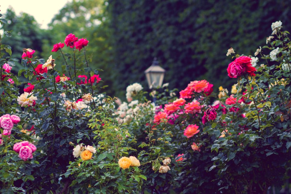 Vienna, Austria, Green