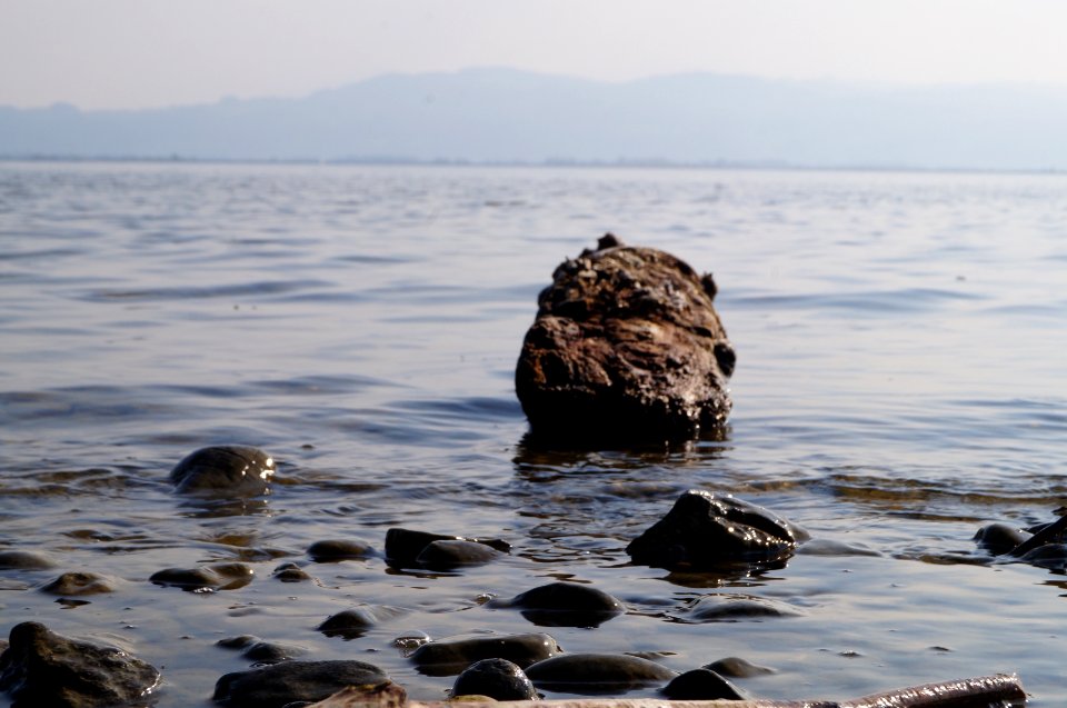 Lake constance, Mountain, Waves