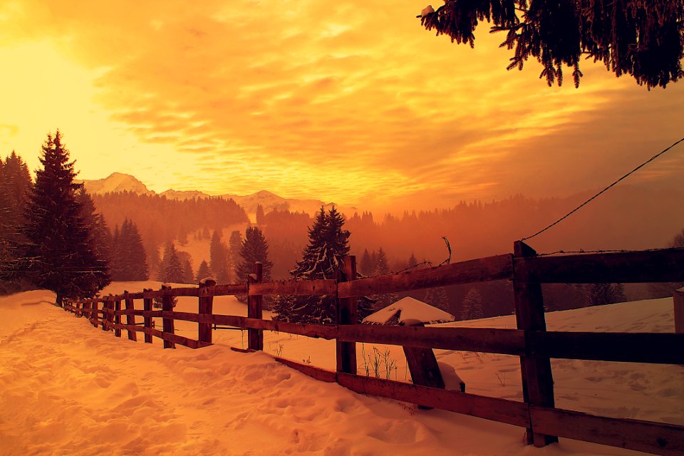 Cabana trei brazi predeal, Predeal, Romania