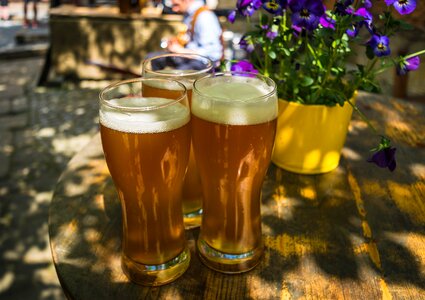 Foam wheat beer trueb