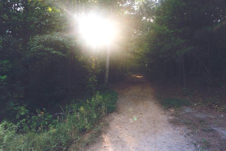 Sope creek trail, Marietta, United states