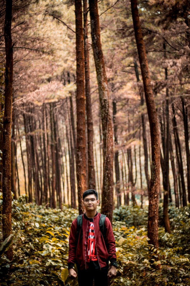 Gunung pancar, Indonesia, Bogor