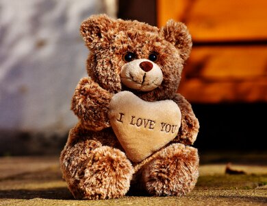 Plush sweet bears