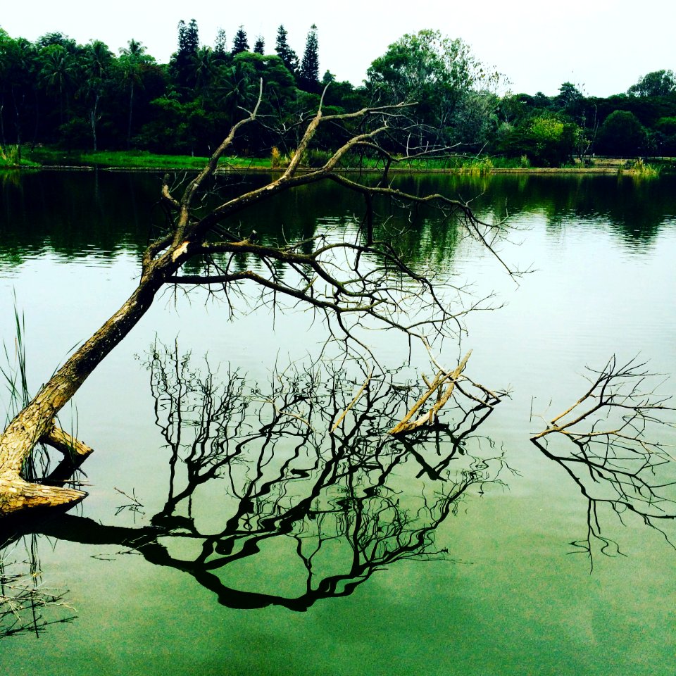 Bengaluru, Karnataka, India