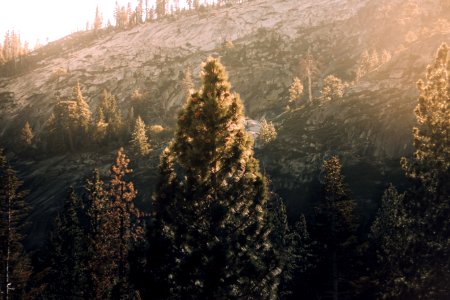 Lake tahoe, United states, California