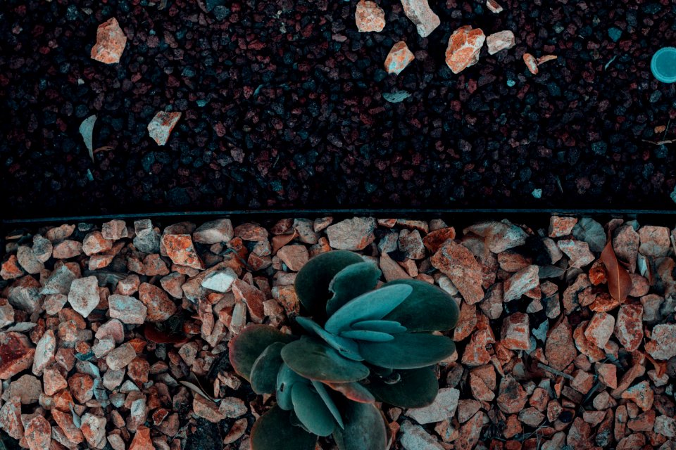 Pasadena, United states, Texture