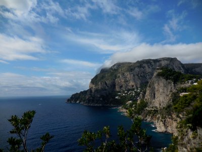 cliff surrounded with bushes under cirrus clouds photo