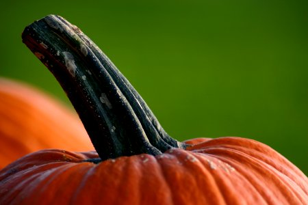 Minnesota, United states, Autumn