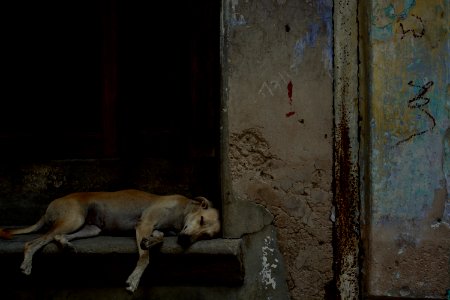 India, Ahmedabad, Urban photo