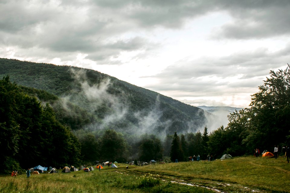 Carpathian mountains, Summer, Green