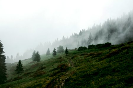 Carpathian mountains, Foggy, Climbing photo