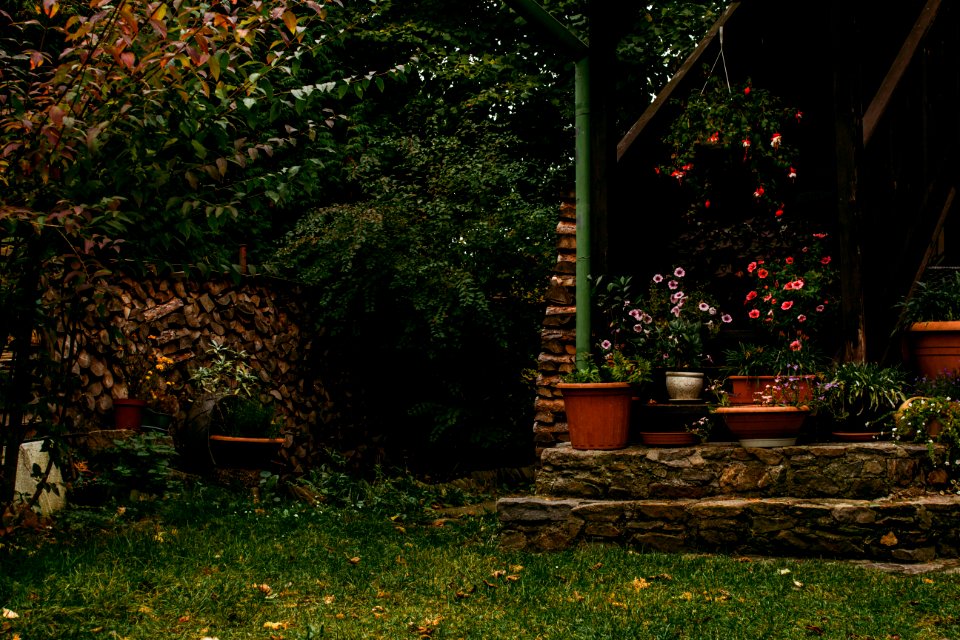 Plan nad lunic, Czech republic, Yard