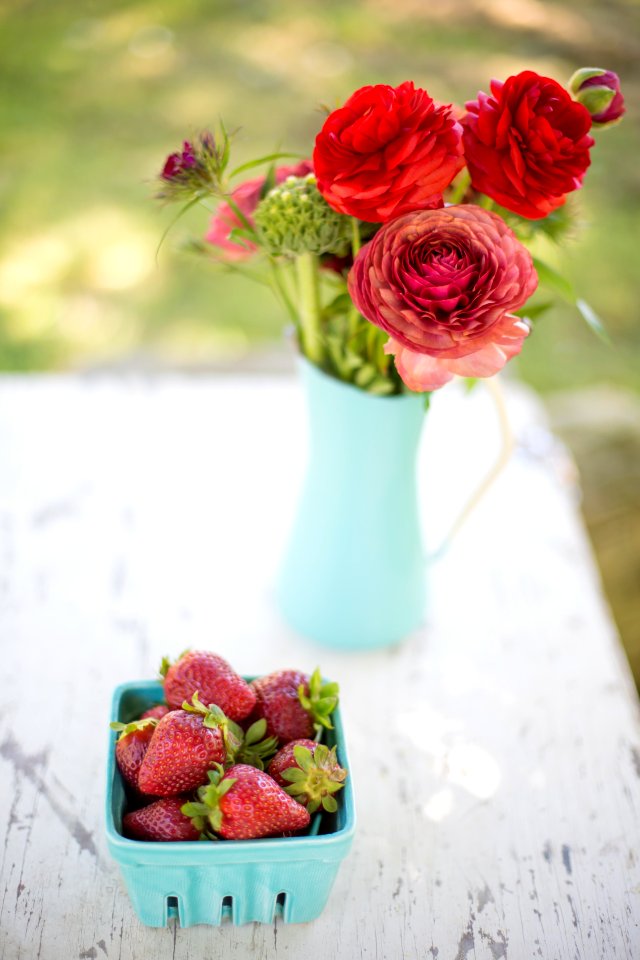 Blue, Fresh, Red