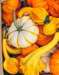 Produce, Harvest, Autumn photo