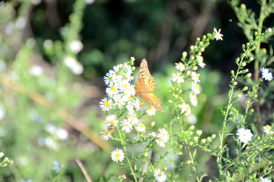Beltline trail, Atlanta, United states