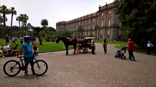 Napoli, Campania, Italia photo