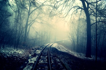 photo of train rail in between of bare trees photo