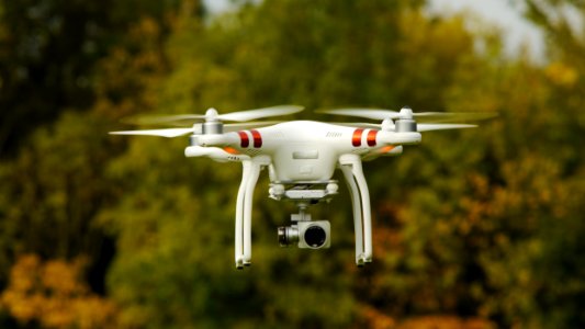 Aerial, Flight, Forest