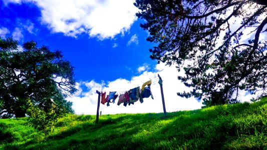 Hobbiton movie set, New zeal, Hobbit