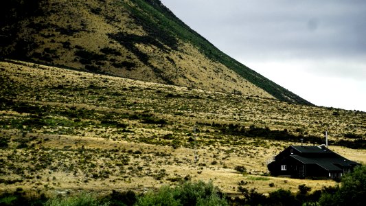 New zeal, Farm, Countryside