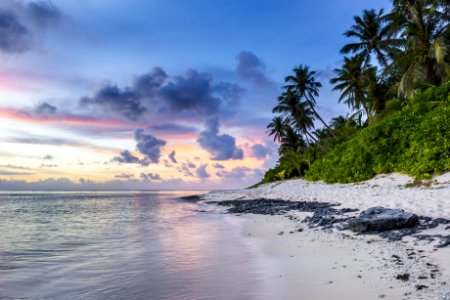 seashore scenery photo