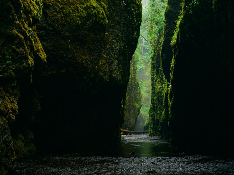 rock formation beside body of water photo