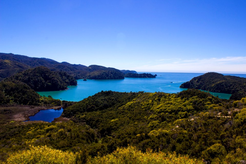 New zeal, Abel tasman national park, South isl