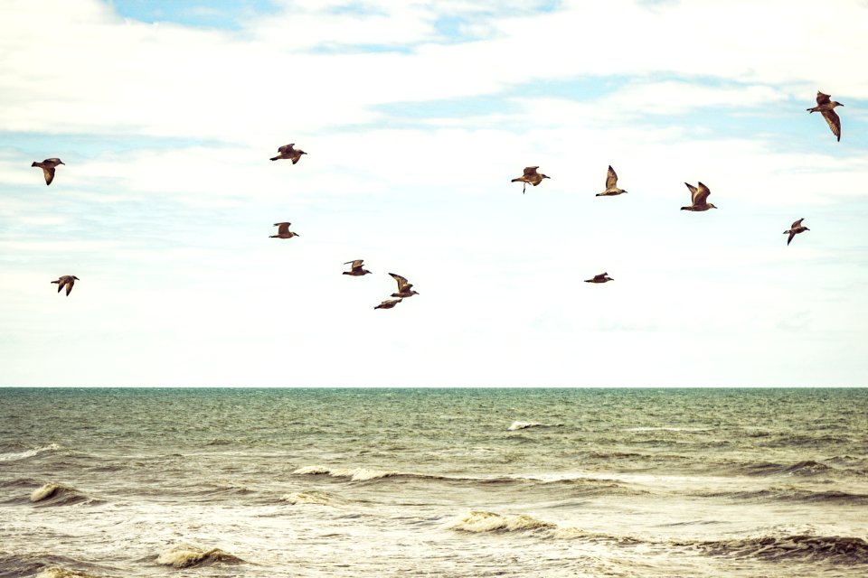 Brighton, United kingdom, Cloudy