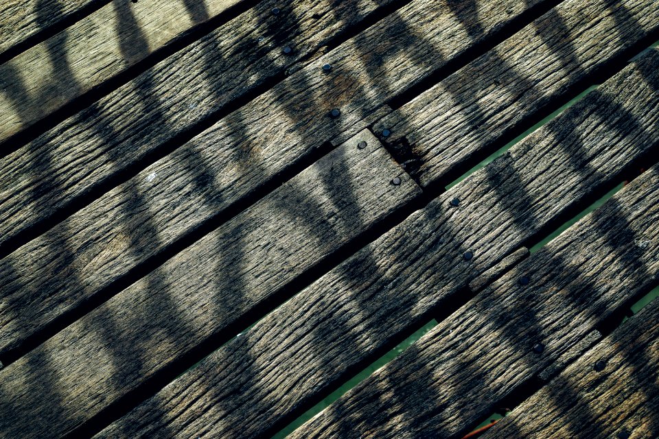 Brighton, United kingdom, Wood