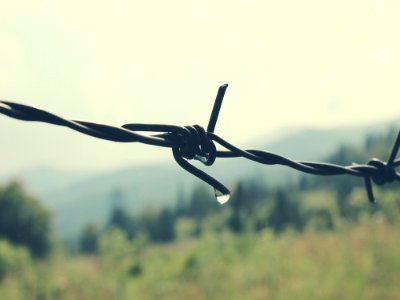 Romnia, Bokeh, Background
