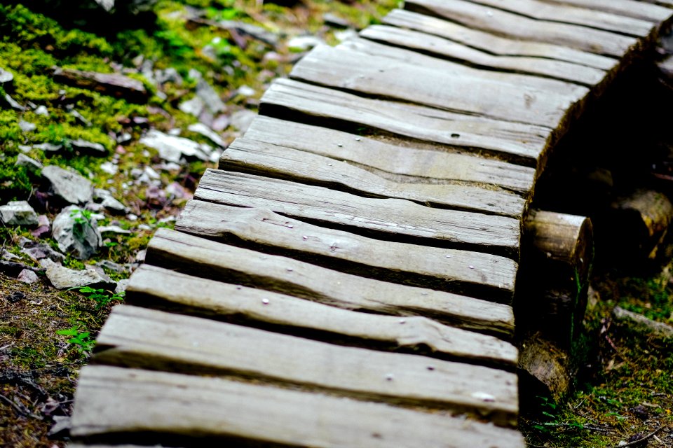 Whistler, Canada, Path