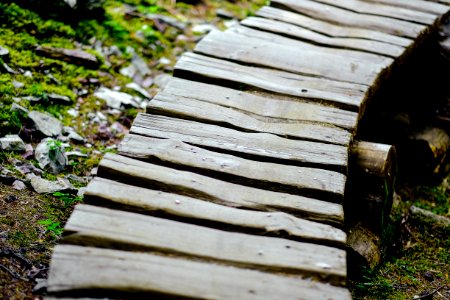 Whistler, Canada, Path