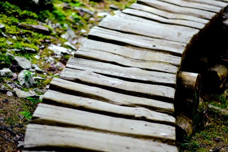 Whistler, Canada, Path photo