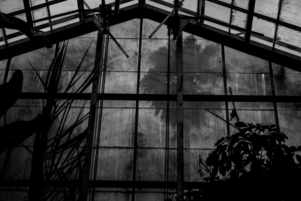University of california botanical garden at berkeley, Berkeley, United states