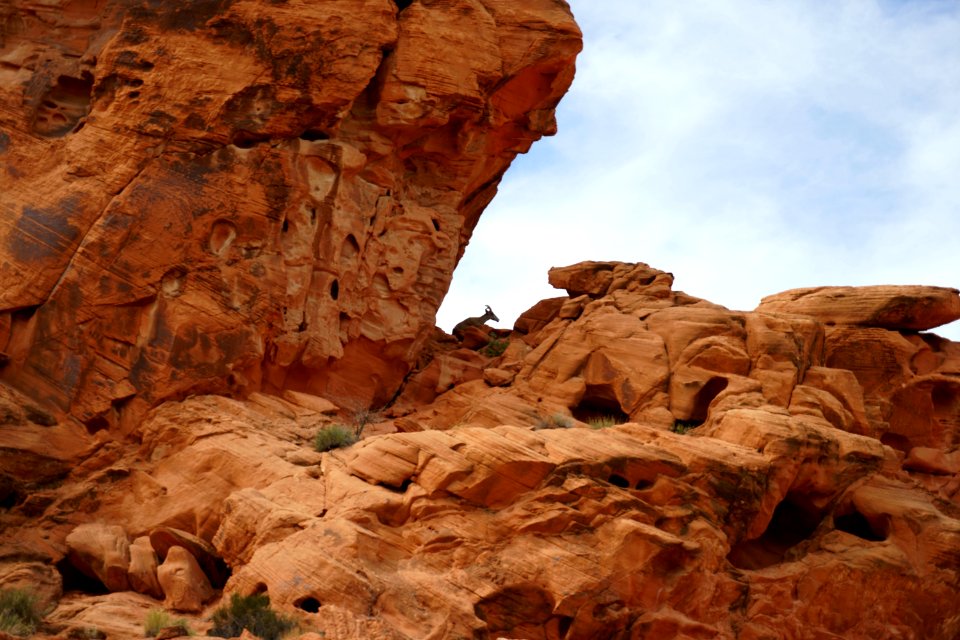 Valley of fire state park, Moapa valley, United states