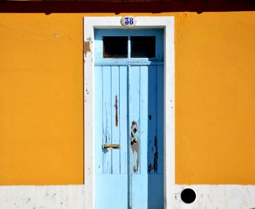 closed blue wooden door photo